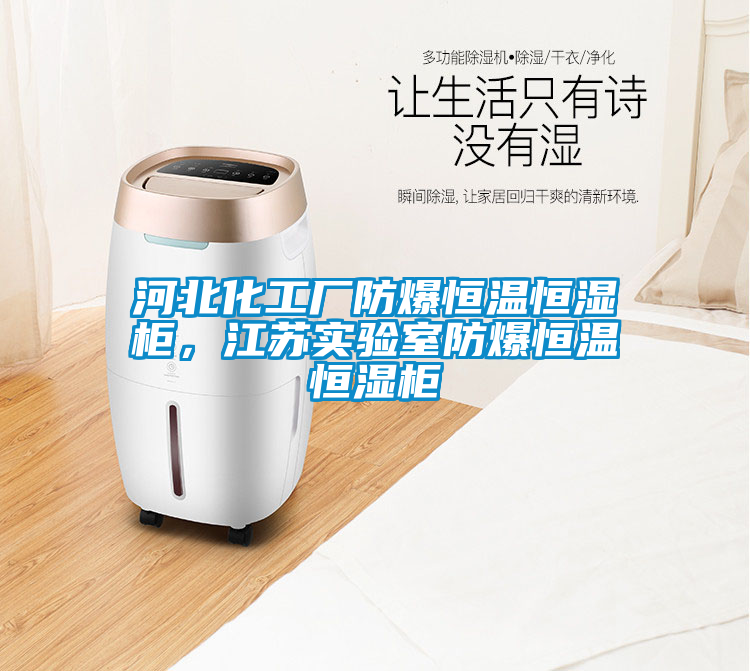 河北化工廠防爆恒溫恒濕柜，江蘇實驗室防爆恒溫恒濕柜