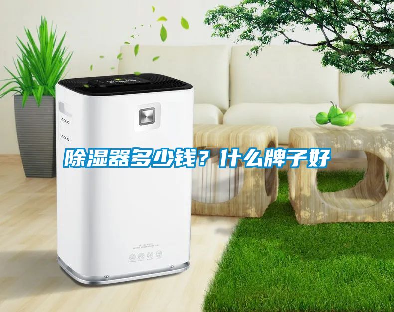 除濕器多少錢(qián)？什么牌子好