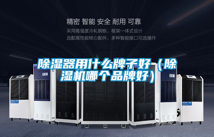 除濕器用什么牌子好（除濕機(jī)哪個品牌好）