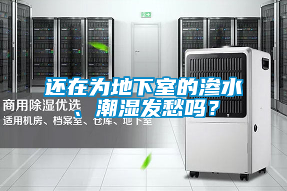 還在為地下室的滲水、潮濕發(fā)愁嗎？