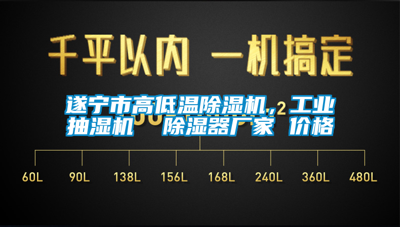 遂寧市高低溫除濕機(jī)，工業(yè)抽濕機(jī)  除濕器廠家 價(jià)格