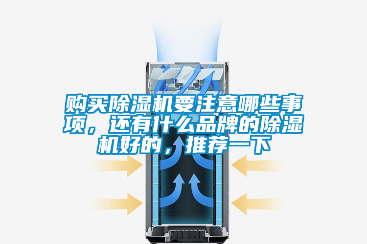 購買除濕機(jī)要注意哪些事項(xiàng)，還有什么品牌的除濕機(jī)好的，推薦一下