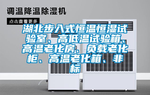 湖北步入式恒溫恒濕試驗室、高低溫試驗箱、高溫老化房、負載老化柜、高溫老化箱、非標