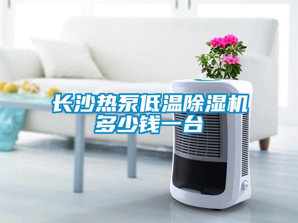 長(zhǎng)沙熱泵低溫除濕機(jī)多少錢(qián)一臺(tái)