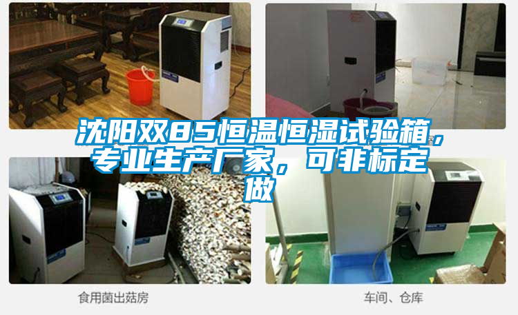 沈陽(yáng)雙85恒溫恒濕試驗(yàn)箱，專(zhuān)業(yè)生產(chǎn)廠家，可非標(biāo)定做