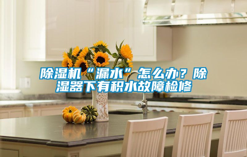 除濕機(jī)“漏水”怎么辦？除濕器下有積水故障檢修