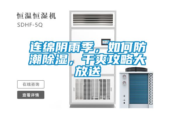 連綿陰雨季，如何防潮除濕，干爽攻略大放送