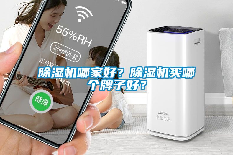 除濕機(jī)哪家好？除濕機(jī)買哪個(gè)牌子好？