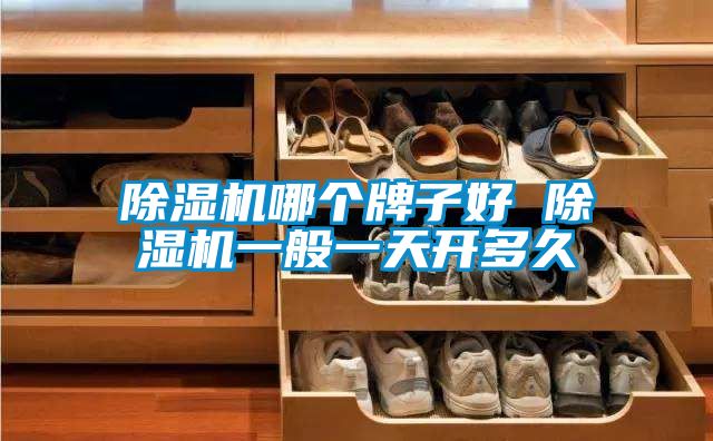 除濕機(jī)哪個(gè)牌子好 除濕機(jī)一般一天開(kāi)多久