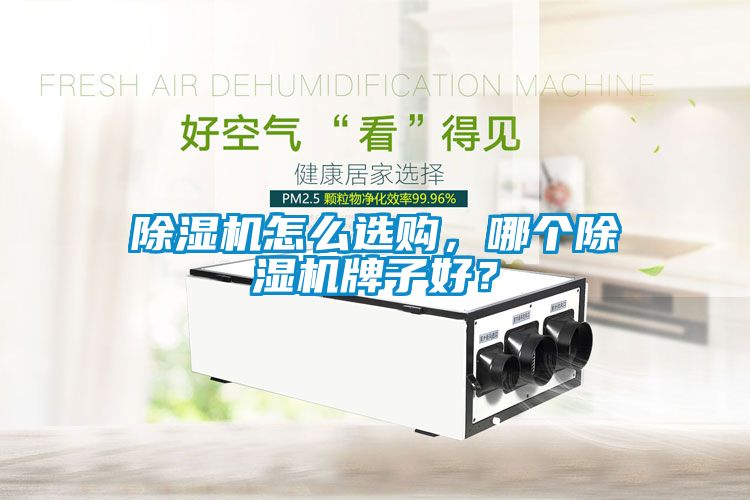 除濕機怎么選購，哪個除濕機牌子好？