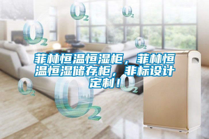 菲林恒溫恒濕柜，菲林恒溫恒濕儲存柜，非標設計定制！