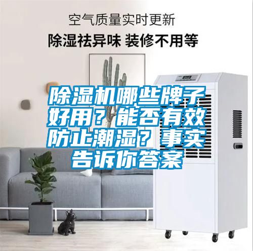 除濕機(jī)哪些牌子好用？能否有效防止潮濕？事實(shí)告訴你答案