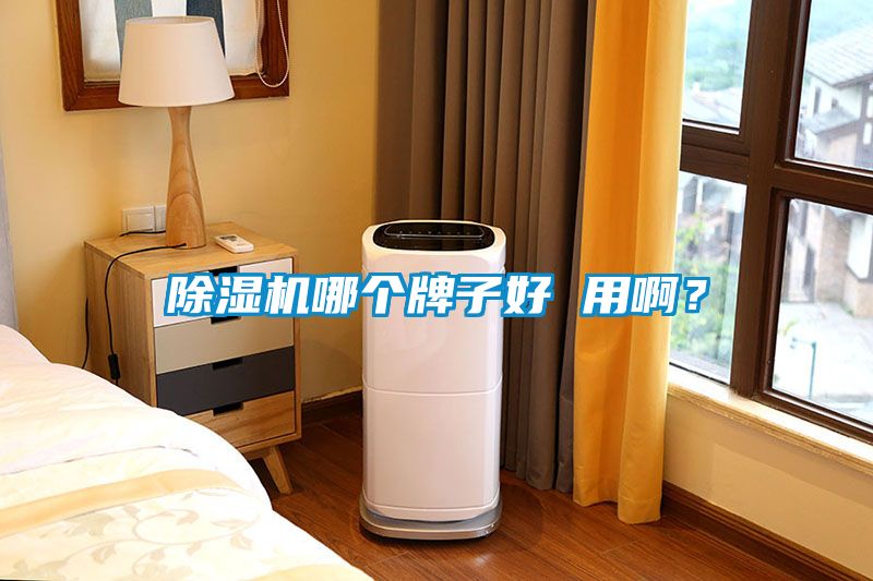 除濕機(jī)哪個(gè)牌子好 用啊？