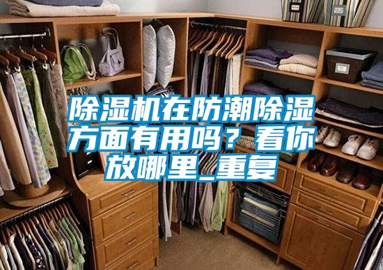除濕機在防潮除濕方面有用嗎？看你放哪里_重復