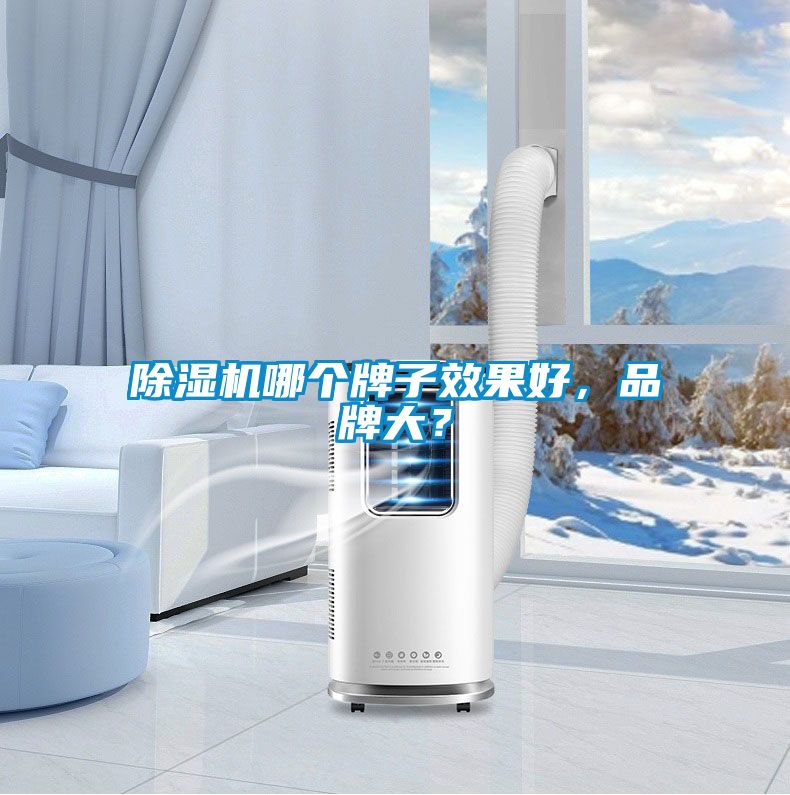 除濕機哪個牌子效果好，品牌大？