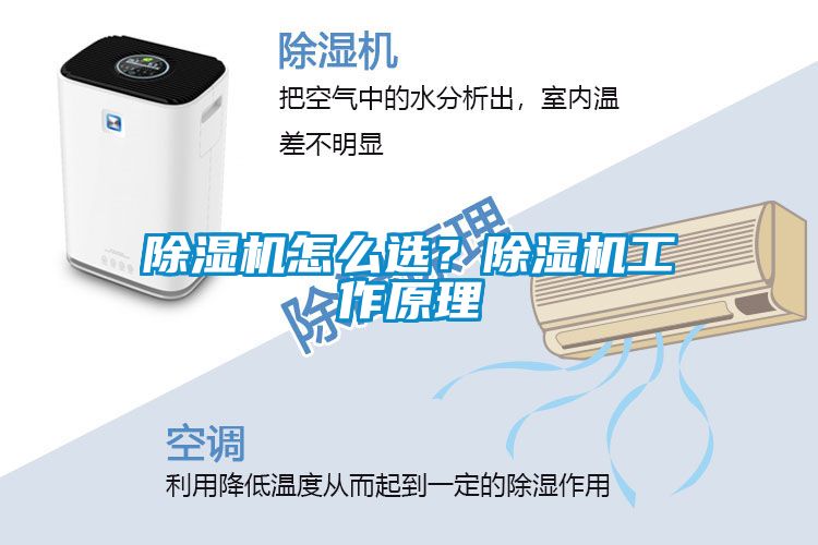 除濕機怎么選？除濕機工作原理