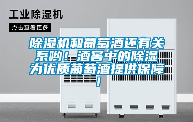 除濕機(jī)和葡萄酒還有關(guān)系喲！酒窖中的除濕為優(yōu)質(zhì)葡萄酒提供保障！
