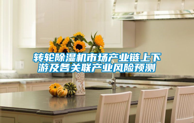 轉(zhuǎn)輪除濕機市場產(chǎn)業(yè)鏈上下游及各關聯(lián)產(chǎn)業(yè)風險預測