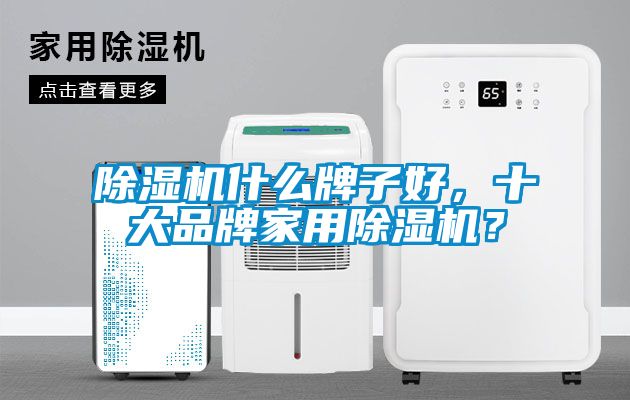 除濕機(jī)什么牌子好，十大品牌家用除濕機(jī)？