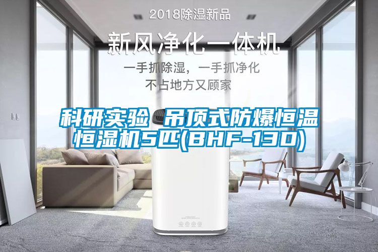 科研實驗 吊頂式防爆恒溫恒濕機5匹(BHF-13D)