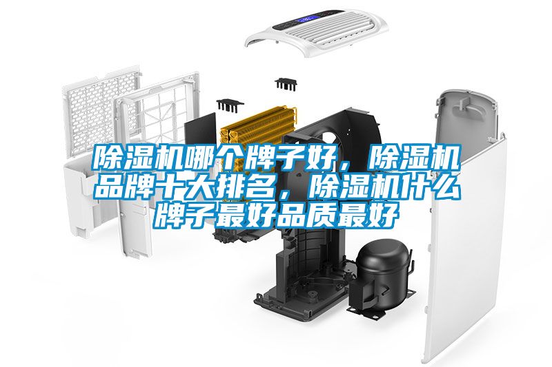 除濕機哪個牌子好，除濕機品牌十大排名，除濕機什么牌子最好品質最好