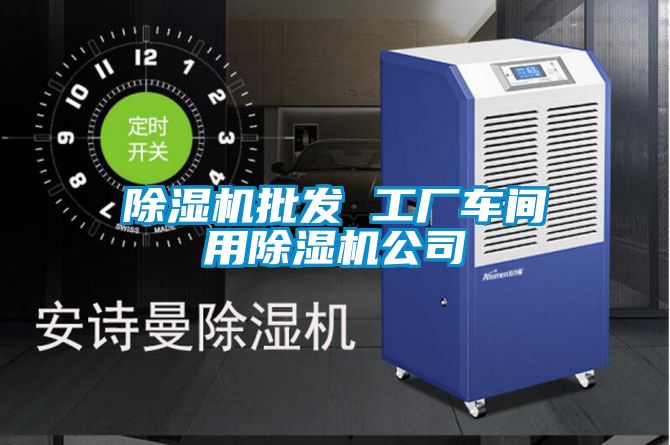 除濕機批發(fā) 工廠車間用除濕機公司
