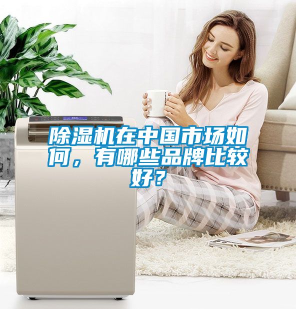 除濕機(jī)在中國(guó)市場(chǎng)如何，有哪些品牌比較好？