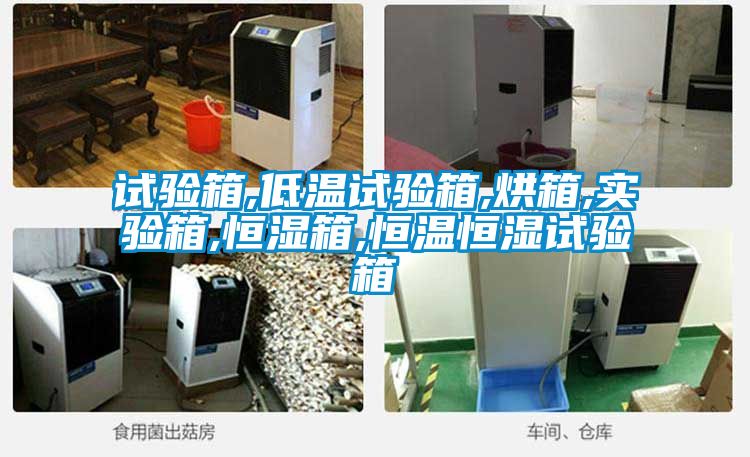 試驗(yàn)箱,低溫試驗(yàn)箱,烘箱,實(shí)驗(yàn)箱,恒濕箱,恒溫恒濕試驗(yàn)箱