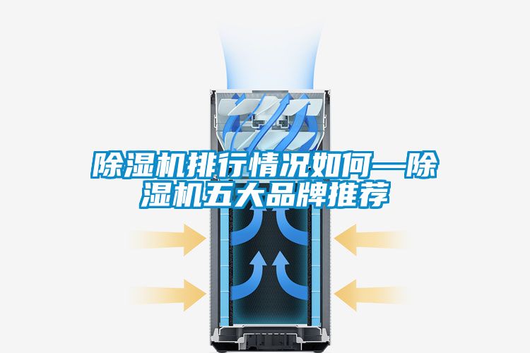 除濕機排行情況如何—除濕機五大品牌推薦