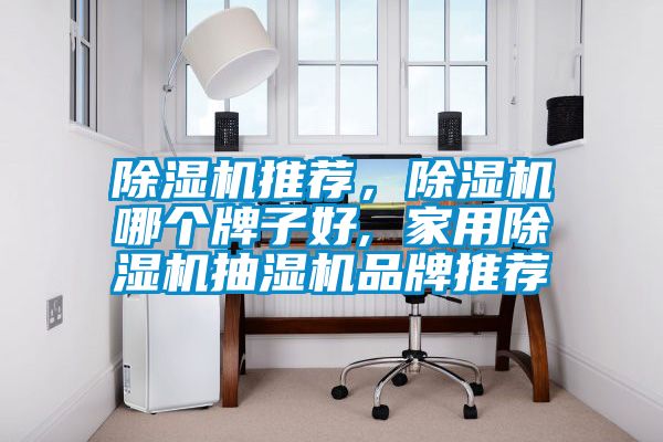 除濕機推薦，除濕機哪個牌子好, 家用除濕機抽濕機品牌推薦