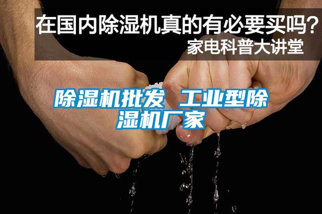 除濕機批發(fā) 工業(yè)型除濕機廠家