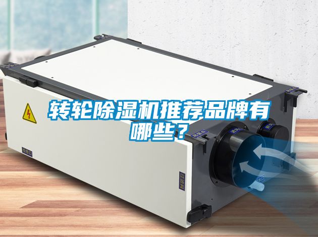 轉輪除濕機推薦品牌有哪些？