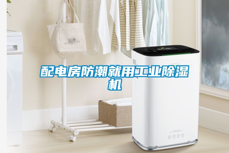 配電房防潮就用工業除濕機