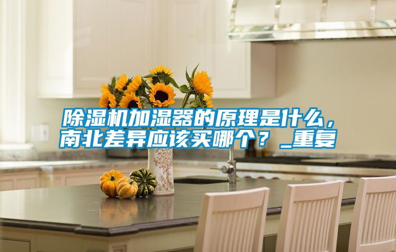 除濕機加濕器的原理是什么，南北差異應該買哪個？_重復
