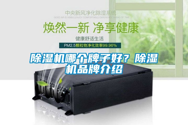 除濕機哪個牌子好？除濕機品牌介紹