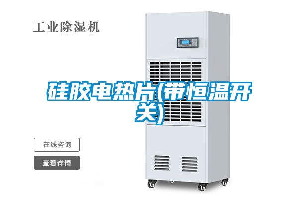 硅膠電熱片(帶恒溫開關)