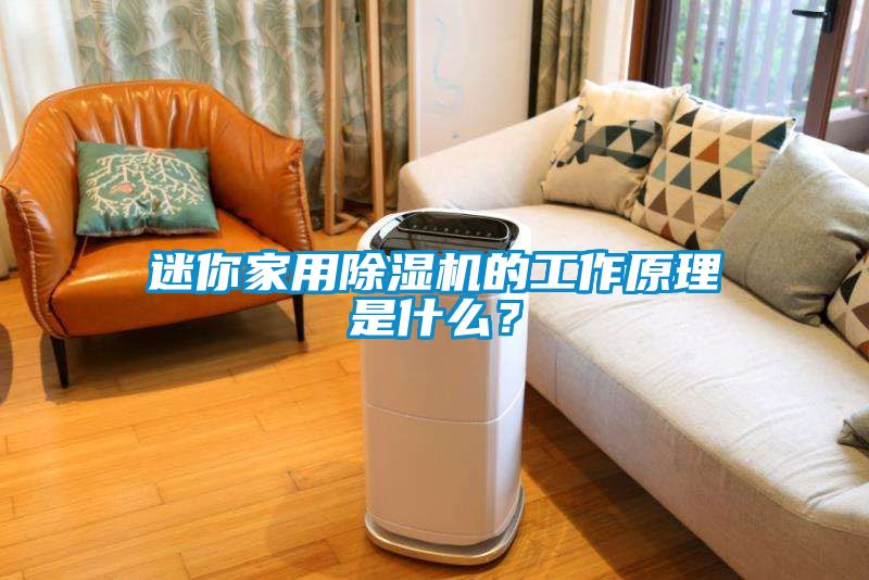 迷你家用除濕機的工作原理是什么？