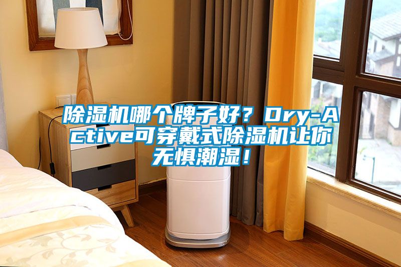 除濕機哪個牌子好？Dry-Active可穿戴式除濕機讓你無懼潮濕！