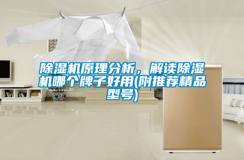 除濕機(jī)原理分析，解讀除濕機(jī)哪個(gè)牌子好用(附推薦精品型號(hào))