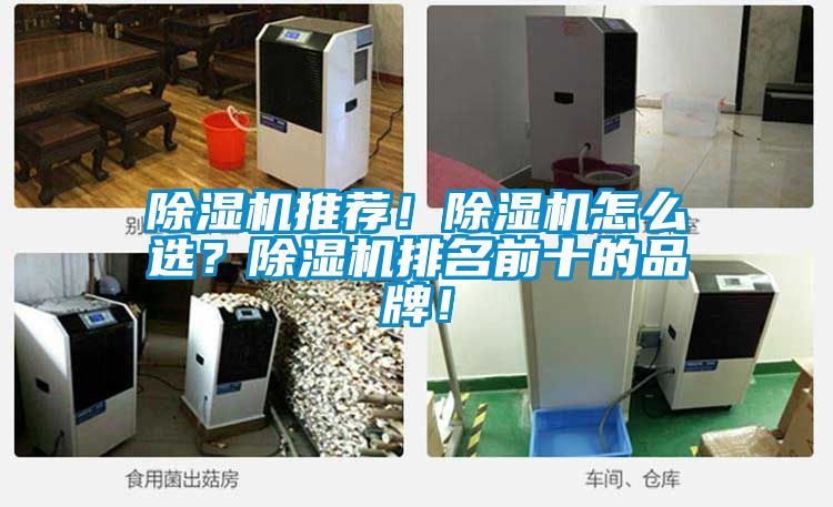 除濕機推薦！除濕機怎么選？除濕機排名前十的品牌！