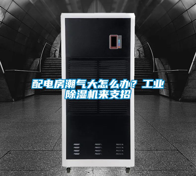 配電房潮氣大怎么辦？工業除濕機來支招