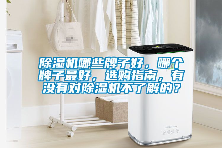 除濕機(jī)哪些牌子好，哪個(gè)牌子最好，選購(gòu)指南，有沒(méi)有對(duì)除濕機(jī)不了解的？