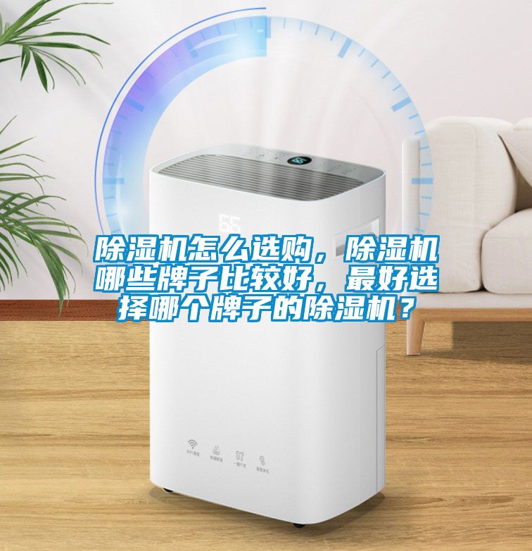 除濕機怎么選購，除濕機哪些牌子比較好，最好選擇哪個牌子的除濕機？