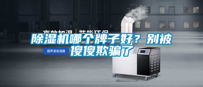 除濕機哪個牌子好？別被傻傻欺騙了
