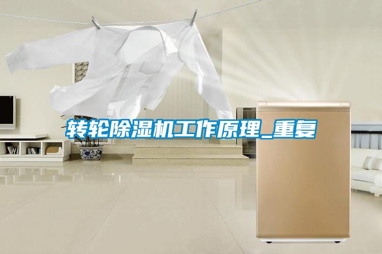 轉(zhuǎn)輪除濕機工作原理_重復
