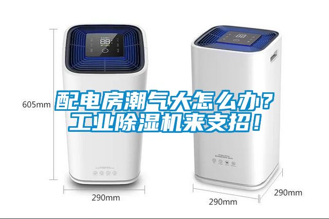 配電房潮氣大怎么辦？工業除濕機來支招！