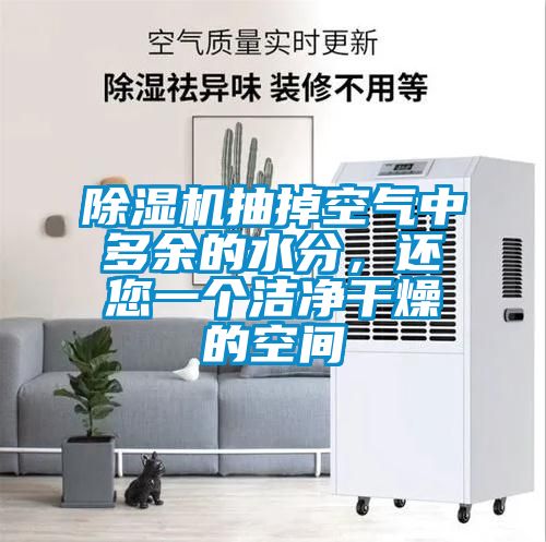 除濕機抽掉空氣中多余的水分，還您一個潔凈干燥的空間