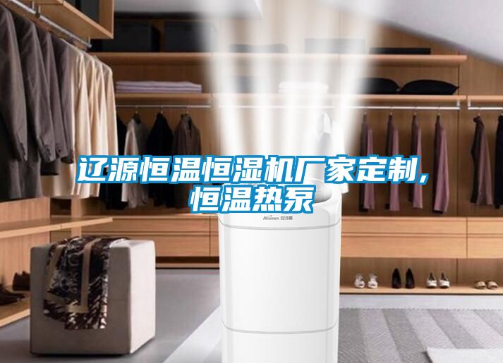 遼源恒溫恒濕機廠家定制,恒溫熱泵