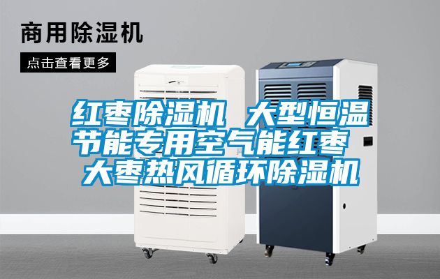 紅棗除濕機 大型恒溫節能專用空氣能紅棗 大棗熱風循環除濕機