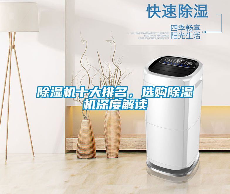 除濕機十大排名，選購除濕機深度解讀
